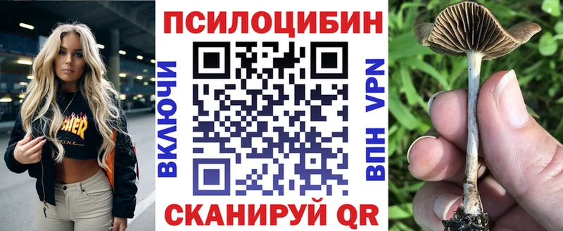 Псилоцибиновые грибы GOLDEN TEACHER Макушино